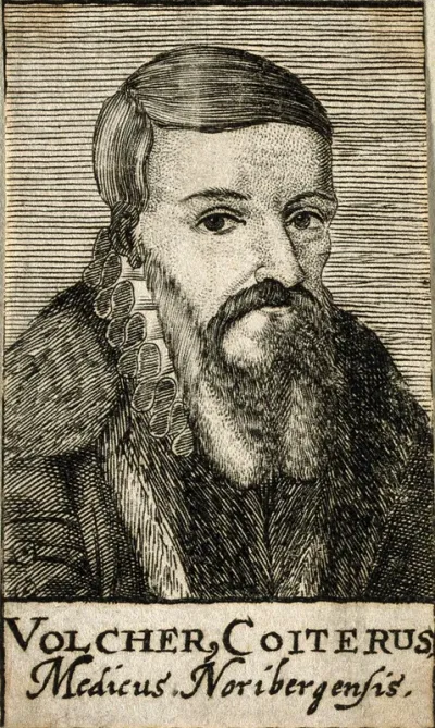 Volcher Coiter. Line engraving, 1688