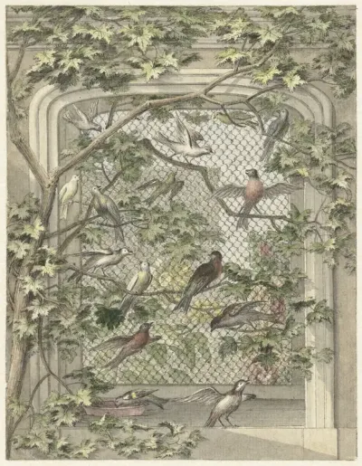 Volière met veertien vogels