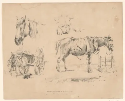 Voorstellingen van paarden en een hond