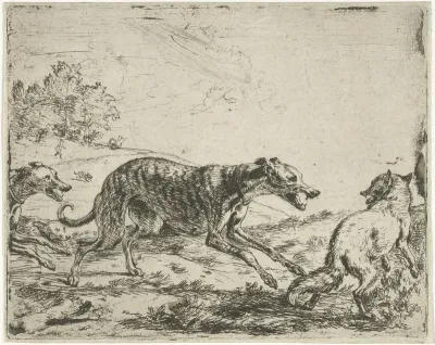 Vos en de drie honden
