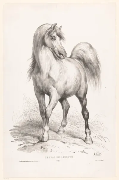 Vrij paard