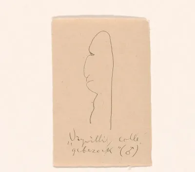 Vrijwillig collegebezoek