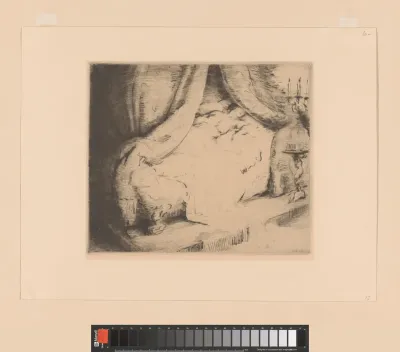 Vrouw in een bed met de gordijnen