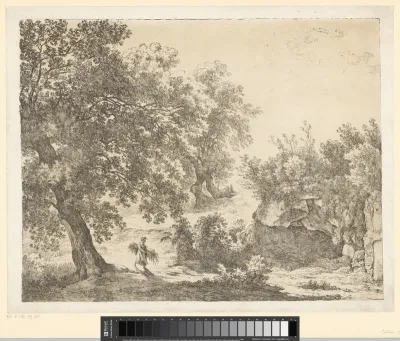 Vrouw met takkenbos