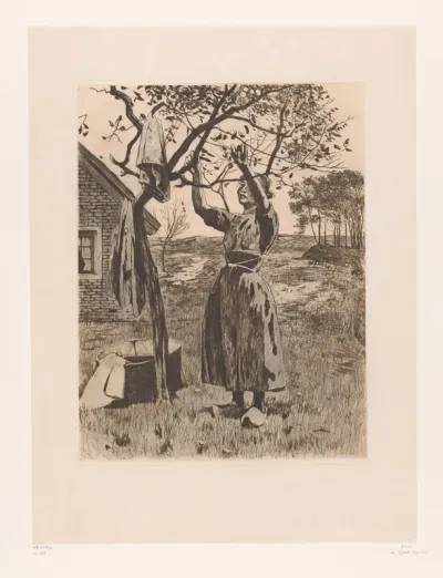 Vrouw reikt omhoog naar de takken van een appelboom