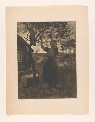 Vrouw reikt omhoog naar de takken van een appelboom