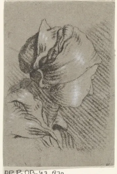 Vrouwenbuste