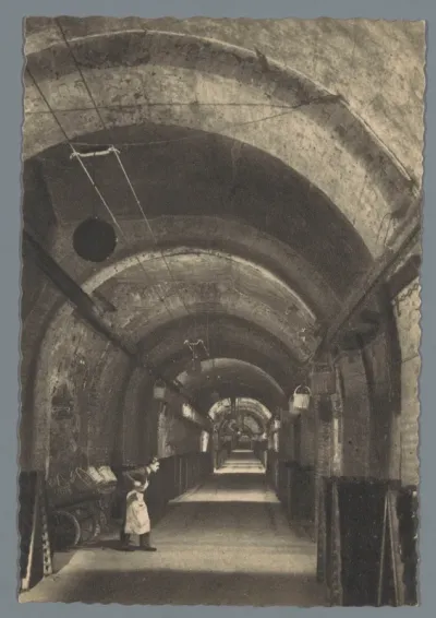 Vue d'une galerie vins, sur pointe