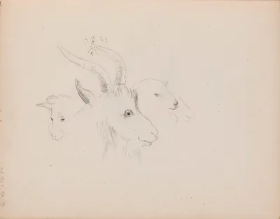 Vuohen päitä. Merkitty: 18 14/8 65 AE (monogrammi)