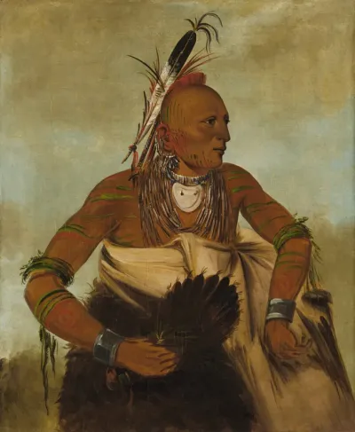 Wa ho béck ee, a Handsome Brave