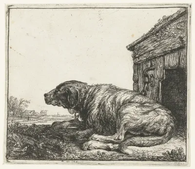 Waakhond