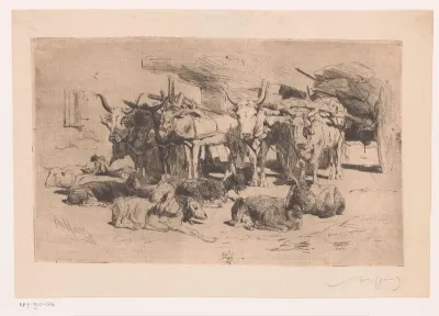 Wagens bespannen met ossen en muildieren