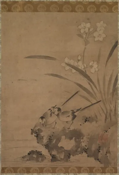 Wagtails and Narcissus