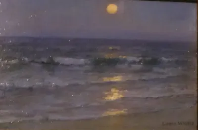 Waikiki Moonlight