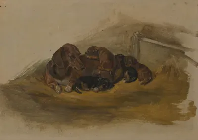 "Waldina" and her Puppies