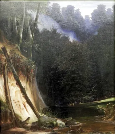 Waldschlucht mit Rotwild