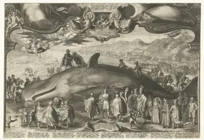 Walvis, op 13 januari 1601 aangespoeld bij Beverwijk