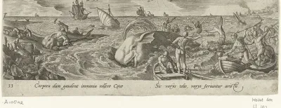 Walvisjacht