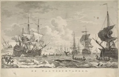 Walvisvangst, 1781