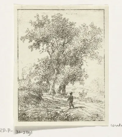 Wandelaar bij grote boom
