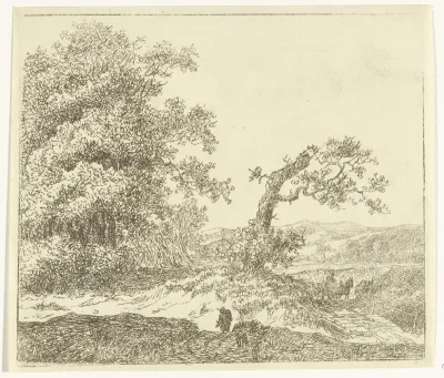 Wandelaar in de duinen buite Haarlem