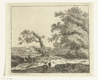 Wandelaar in de duinen buiten Haarlem
