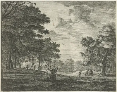 Wandelaar in het Haagse Bos