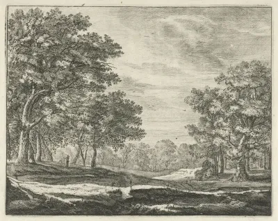 Wandelaar in het Haagse Bos
