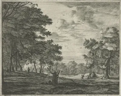 Wandelaar in het Haagse Bos