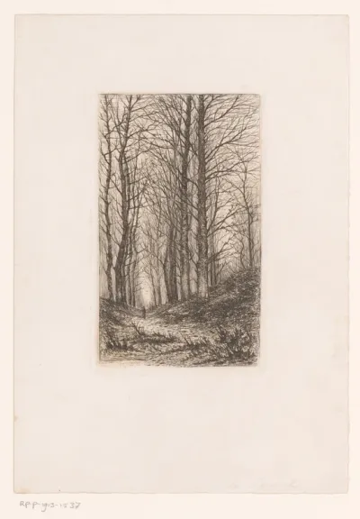 Wandelaar op een heuvelachtig bospad met hoge, kale bomen