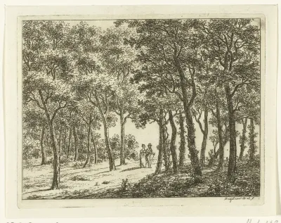 Wandelend stel in het bos