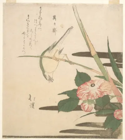 Warbler and Camellia