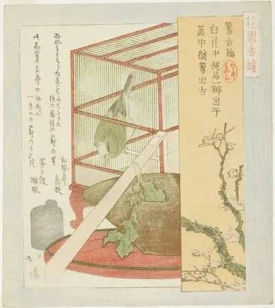 Warbler in a cage, from the series "A Series for the Hanazono Group (Hanazono bantsuzuki)"