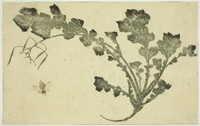 Wasp and turnip stalk, from "The Picture Book of Realistic Paintings of Hokusai (Hokusai shashin gafu)"