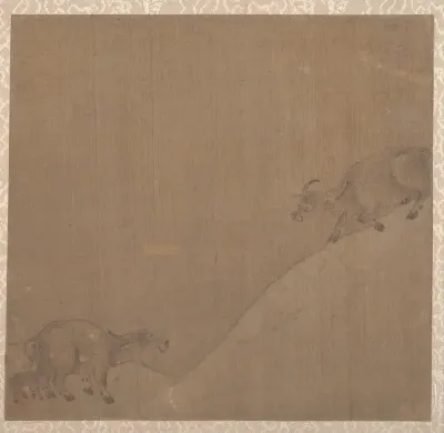 Water Buffaloes