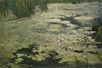 Water lilies on the pond
