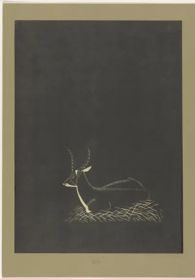 Waterbok
