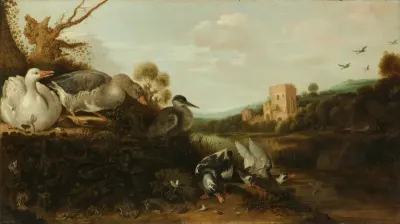 Waterfowl