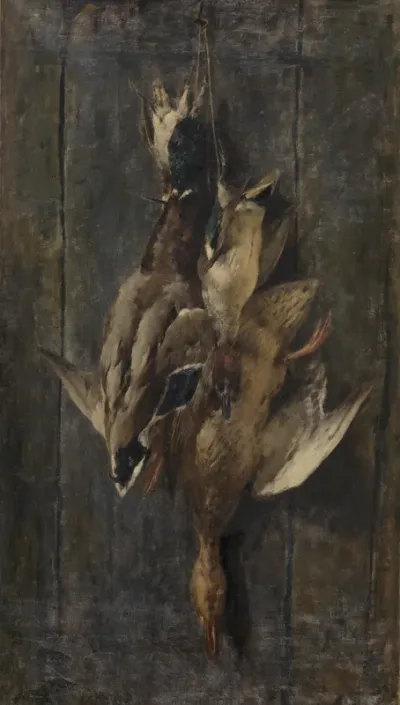 Waterfowl