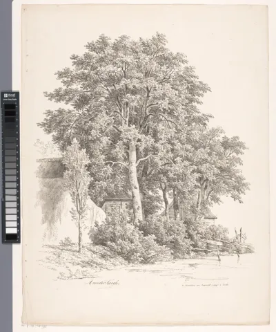 Waterkant met bomen en huizen