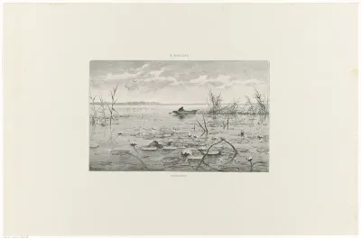 Waterleliën