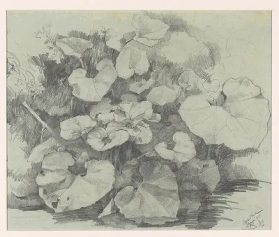 Waterplanten