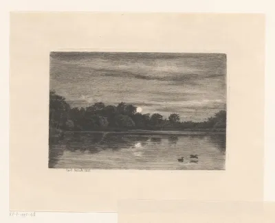Waterplas bij maanlicht