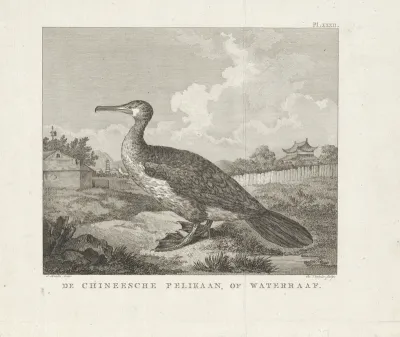 Watervogel in een landschap