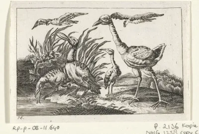 Watervogels