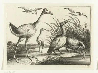 Watervogels