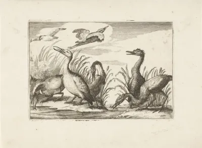 Watervogels
