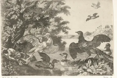 Watervogels en een hond