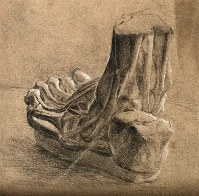 Wax(?) model of a dissected foot, showing tendons