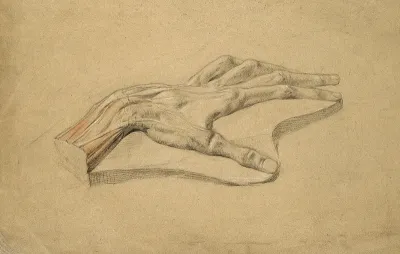 Wax(?) model of a dissected hand, showing tendons